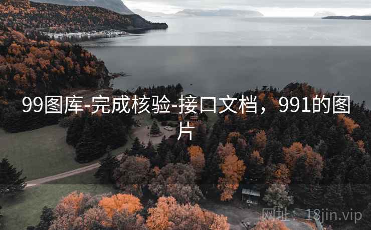 99图库-完成核验-接口文档，991的图片